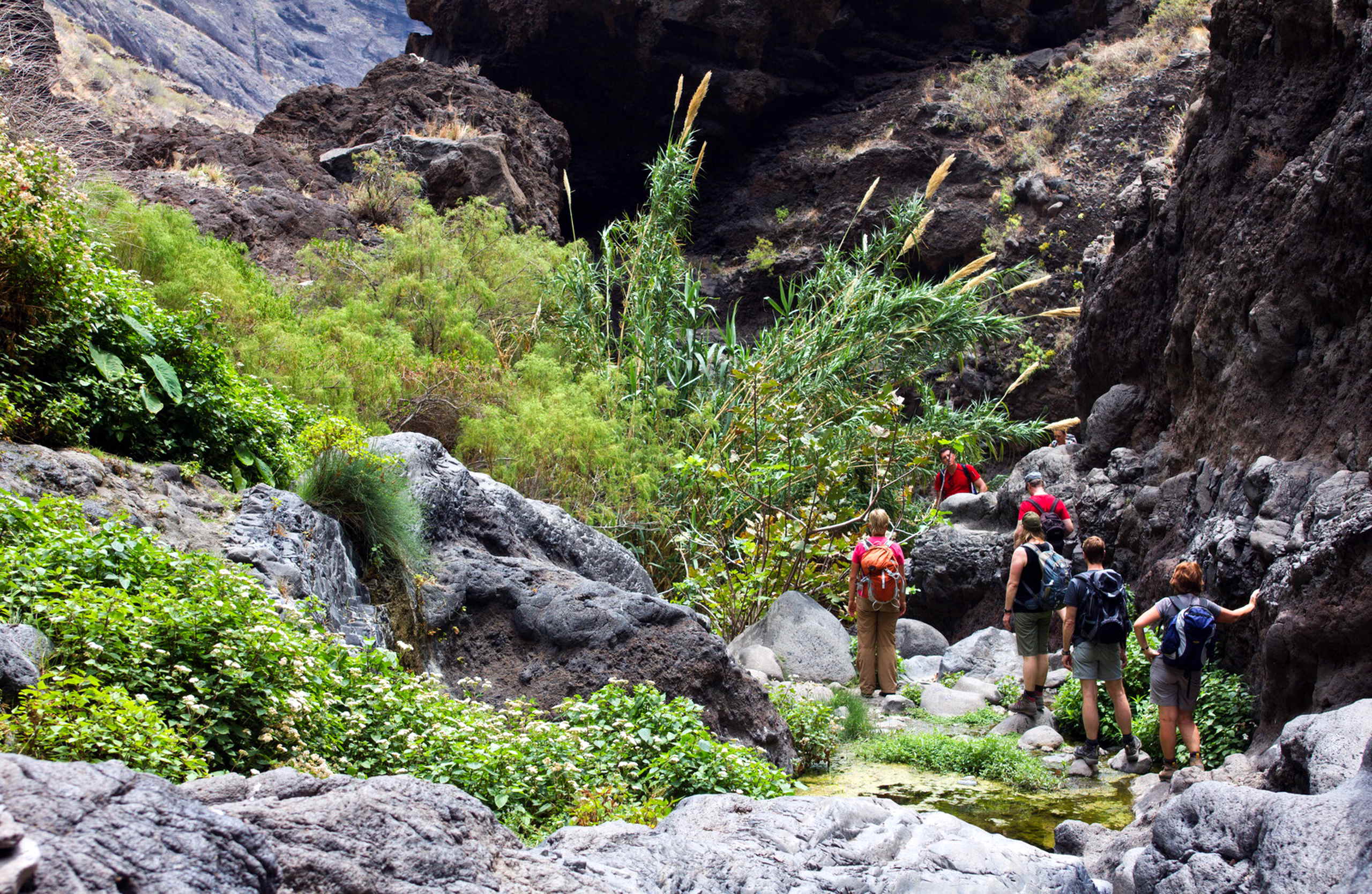 teneriffa-tenogebirge-mascaschlucht-4