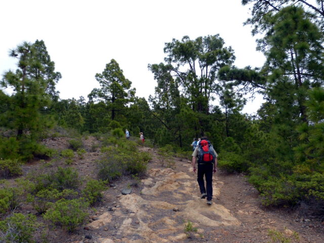 teneriffa-las-medianias-del-sur-ifonche-taucho-1