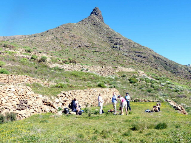 teneriffa-las-medianias-del-sur-ifonche-1