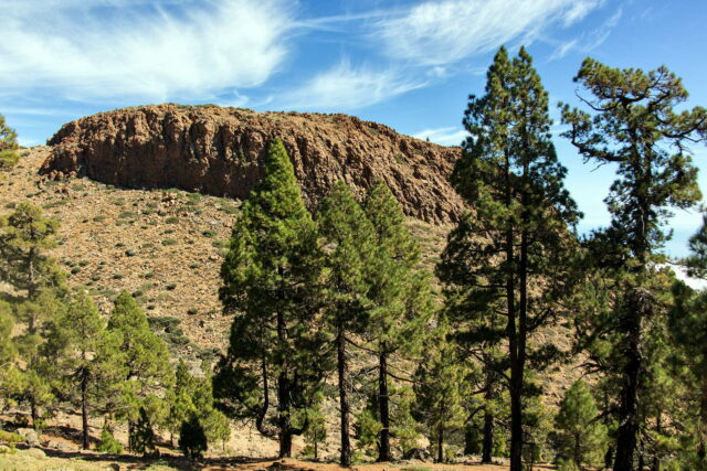 teneriffa-teide-nationalpark-vilaflor-el-sombrero-1