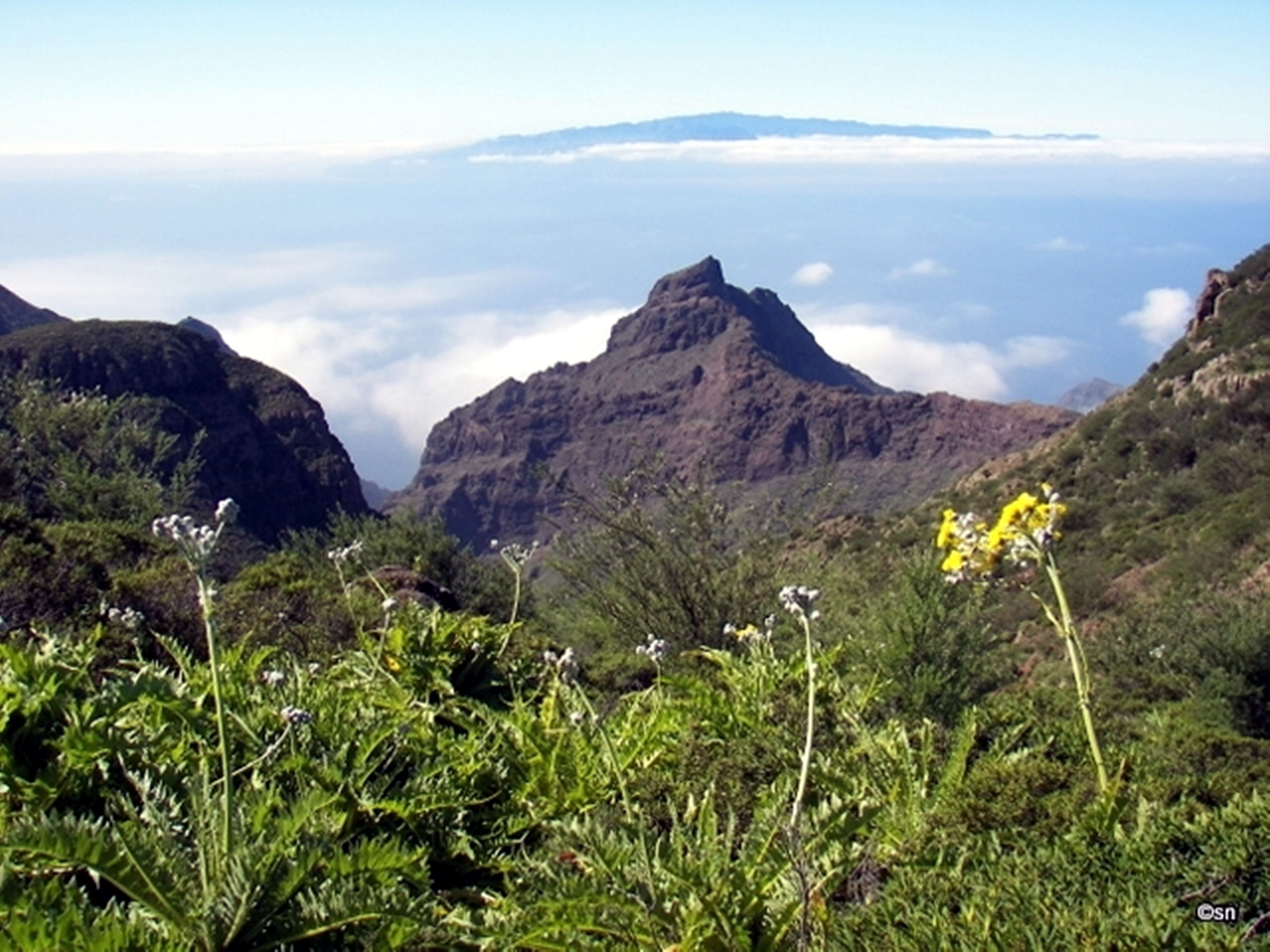 teneriffa-tenogebirge-teno-alto-2