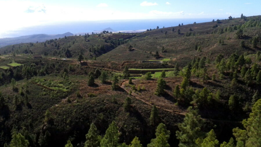 wandern-teneriffa-medianías del sur-las vegas-s1