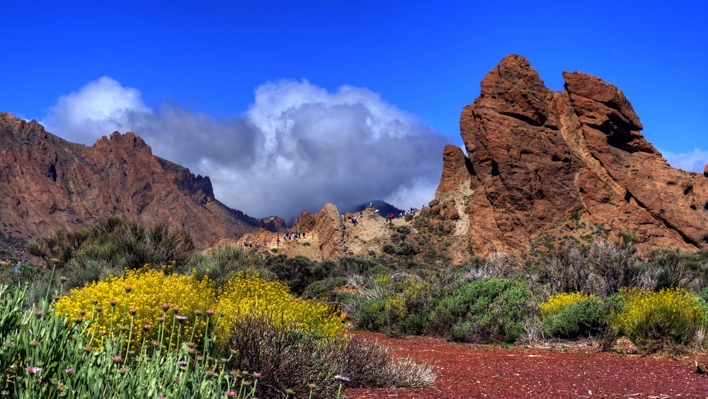 wandern-teneriffa-teide-nationalpark-los-roques-s1