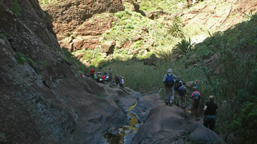 teneriffa-wandern-tenogebirge-masca-bergab-s1