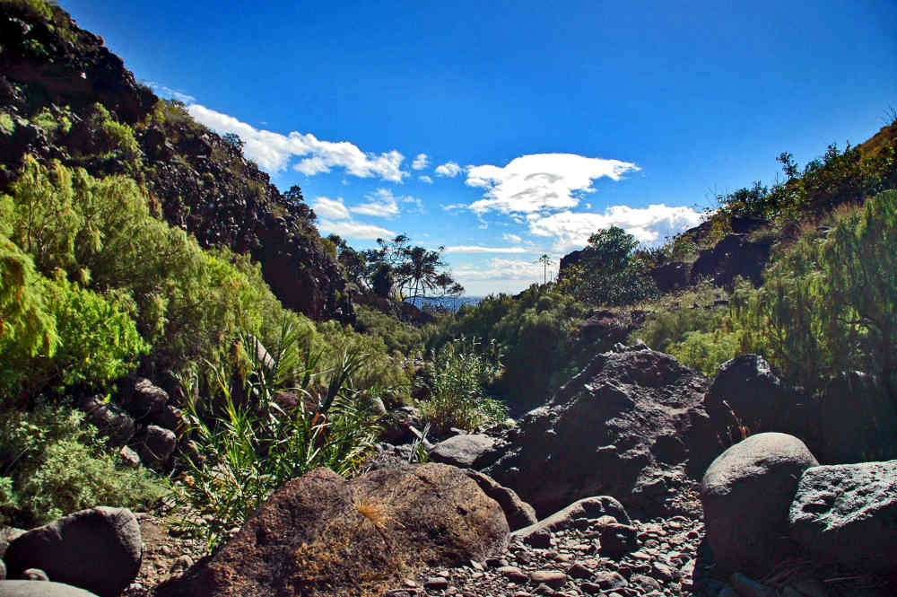 wandern-teneriffa-sued-tenogebirge-masca-bergab-v1