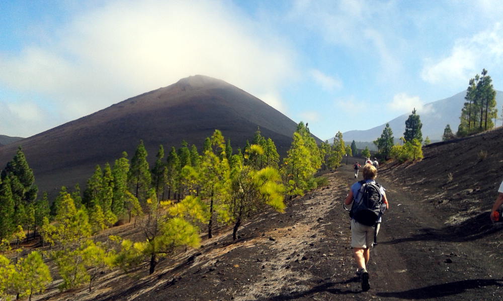 teneriffa-wandern-vulcano-negro-v1