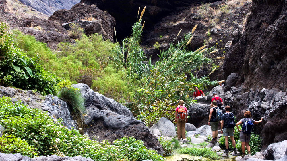 wandern-teneriffa-tenogebirge-masca-bergauf-v1