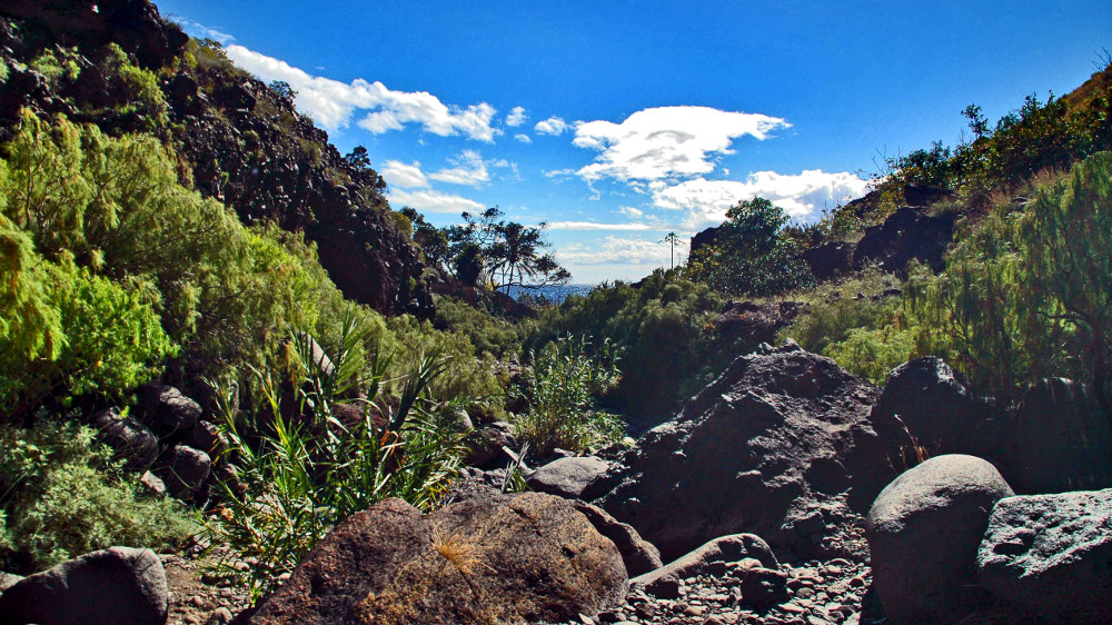 wandern-teneriffa-teno-gebirge-mascaschlucht-bergab-v1