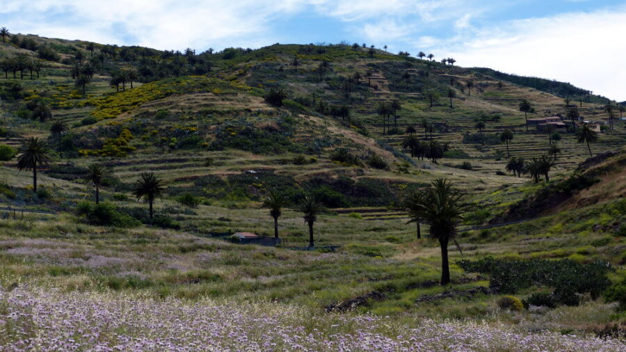 teneriffa-wandern-tagesausflug-la-gomera-s1