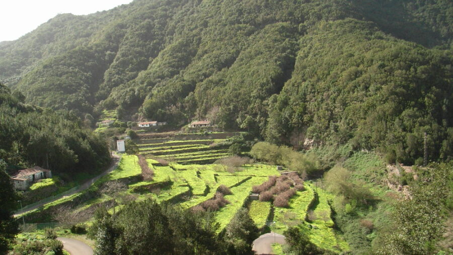 wanern-teneriffa-tagesaufflug-la-gomera-2