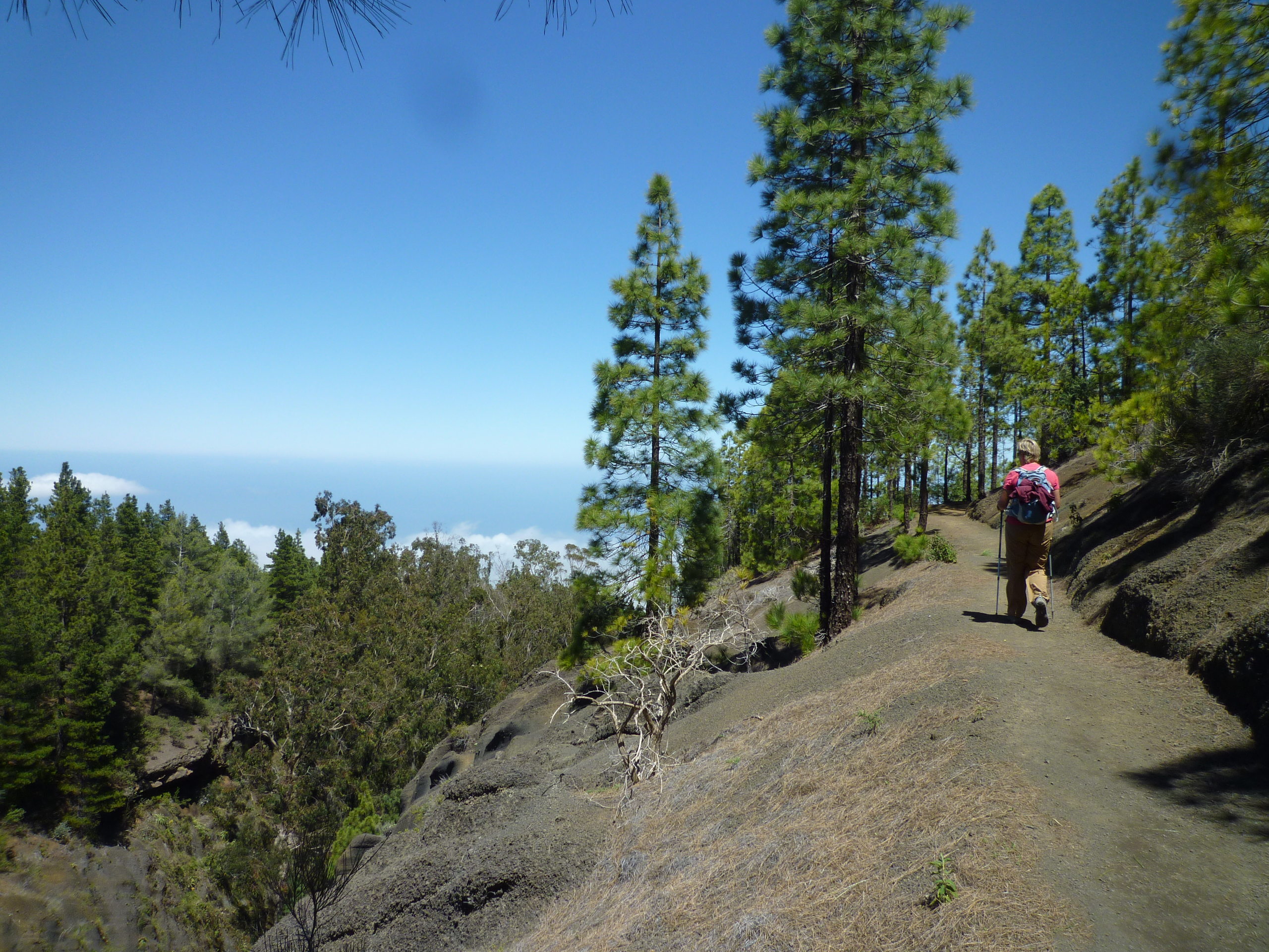 wandern teneriffa süd