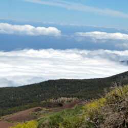 Teide-Nationalpark-mit-der-Wanderjule