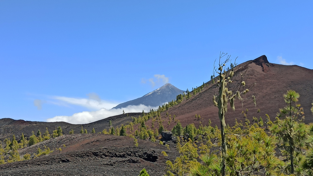 vulkane auf teneriffa