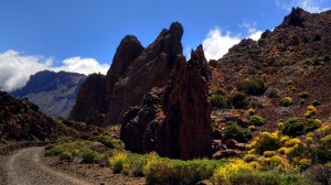 teide-nationalpark-17