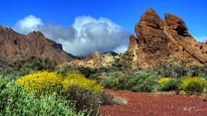 teide-nationalpark-2