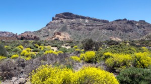 teide-nationalpark-7