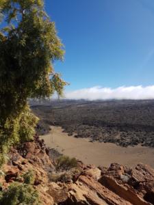 wanderjule-teneriffa teide-nationalpark 2020 21